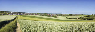 Panoramabild von Massenbachhausen